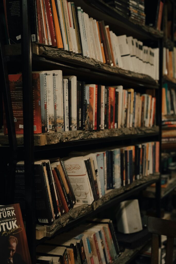 Large bookshelf filled with novels and nonfiction books in a cozy library setting