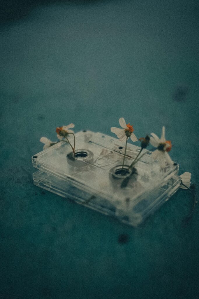 A dreamy vintage photograph featuring a transparent cassette tape with tiny white flowers growing through it, creating a nostalgic and sentimental aesthetic that evokes memories, music, stories, and longing.