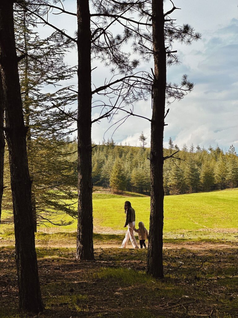 Adult and child walking together through a grassy meadow bordered by tall pine trees.