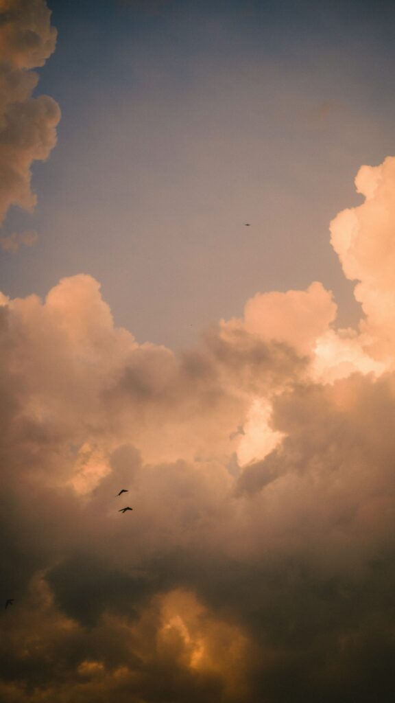 Golden evening clouds with two birds flying beneath a vast open sky, evoking freedom, perspective, and quiet reflection.
