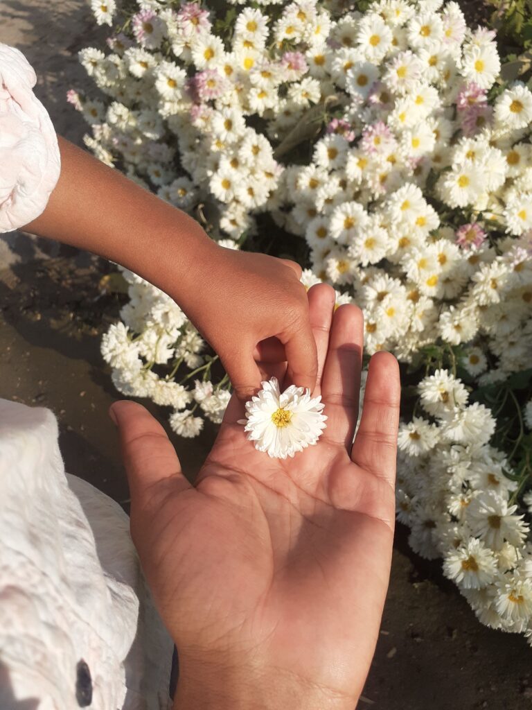 A child gently places a white daisy into an adult's open hand, representing innocence, generosity, and the passing of kindness between generations.